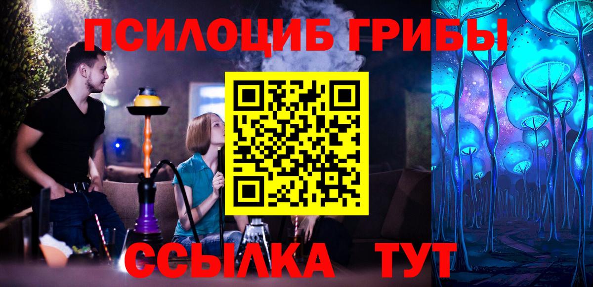 Галлюциногенные грибы Cubensis  Псилоцибиновые грибы мицелий  Химки  купить  цена  Вход с VPN 